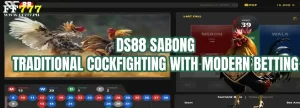 DS88 Sabong – Traditional Cockfighting with Modern Betting