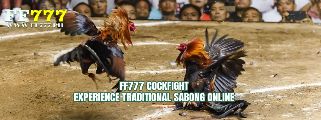 FF777 Cockfight – Experience Traditional Sabong Online